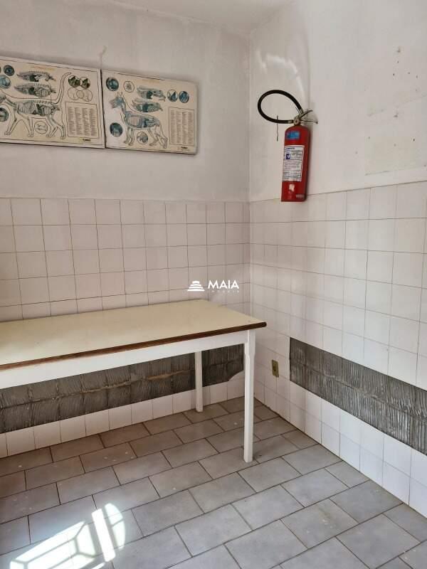 Terreno/Área à venda no Santa Maria: 