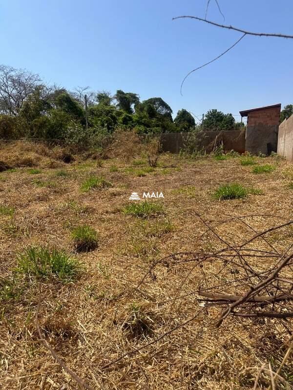 Terreno/Área à venda no Jardim Nenê Gomes: 
