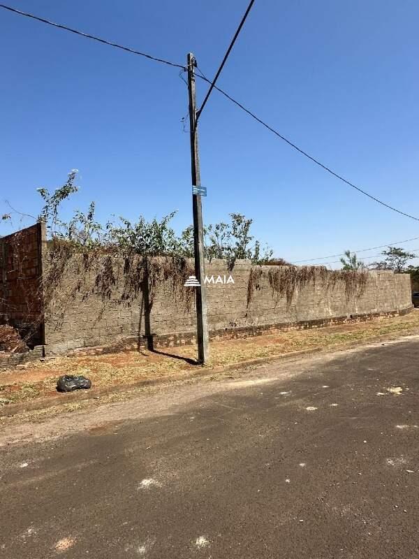 Terreno/Área à venda no Jardim Nenê Gomes: 