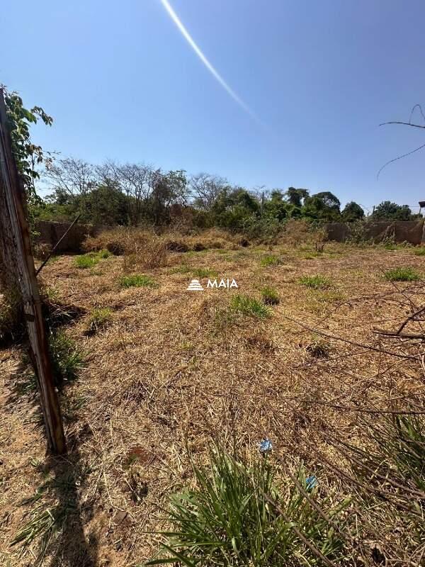 Terreno/Área à venda no Jardim Nenê Gomes: 