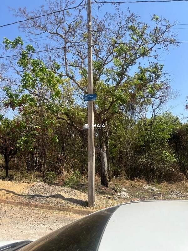 Terreno/Área à venda no Jardim Nenê Gomes: 