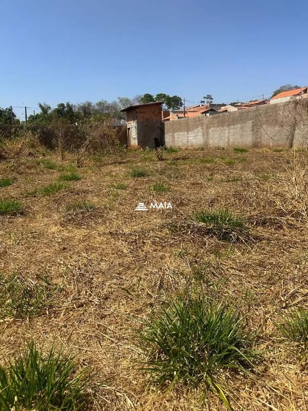 Terreno/Área à venda no Jardim Nenê Gomes: 