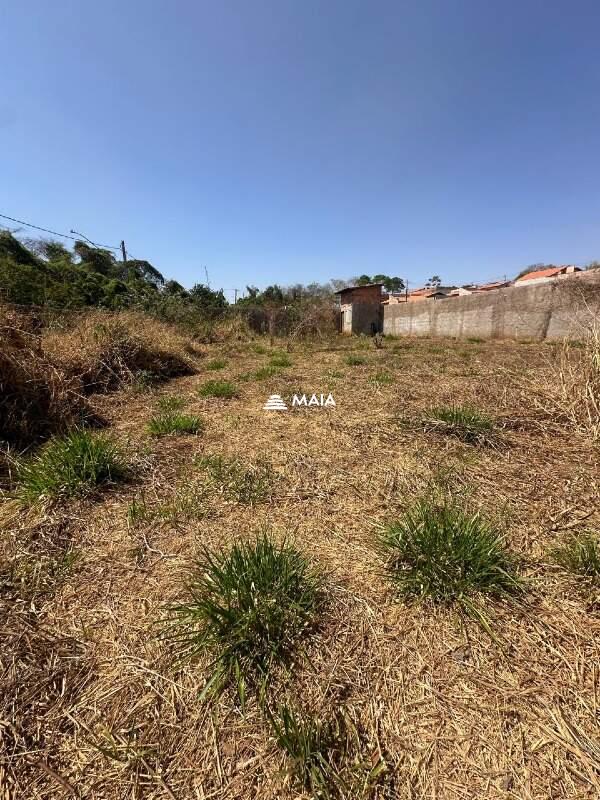 Terreno/Área à venda no Jardim Nenê Gomes: 