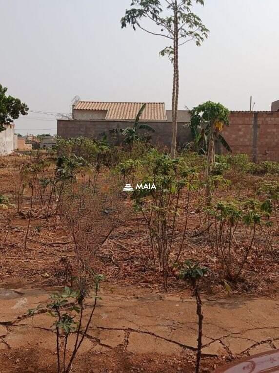 Terreno/Área à venda no Parque das Laranjeiras: 