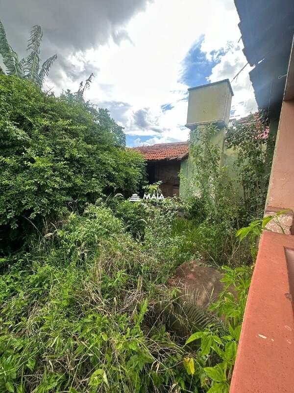 Terreno/Área à venda no São Benedito: 