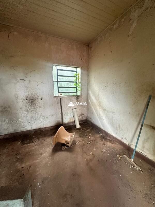 Terreno/Área à venda no São Benedito: 