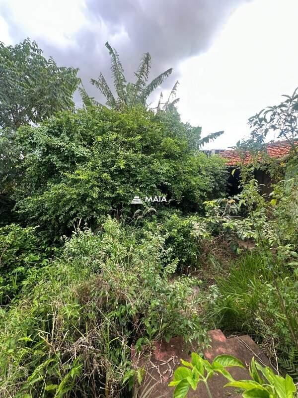 Terreno/Área à venda no São Benedito: 