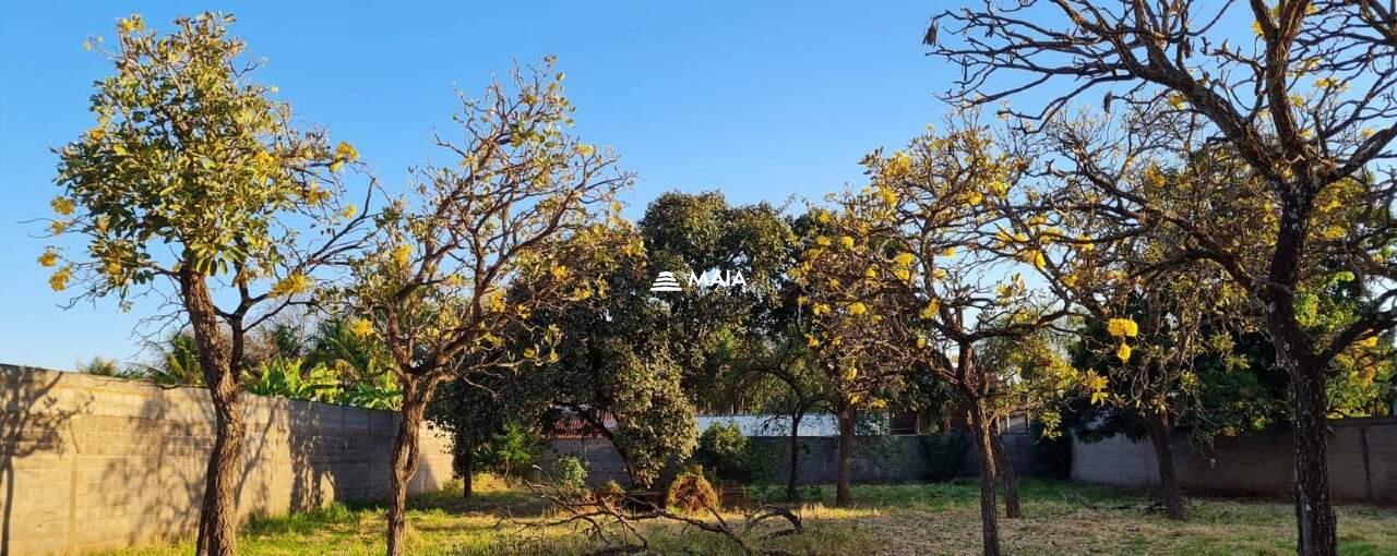 Terreno em Condomínio à venda no Jockey Park: 