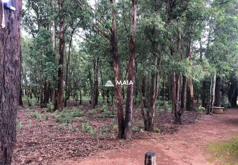 Rancho/ Chácara/ Rural à venda no Santa Fé: 