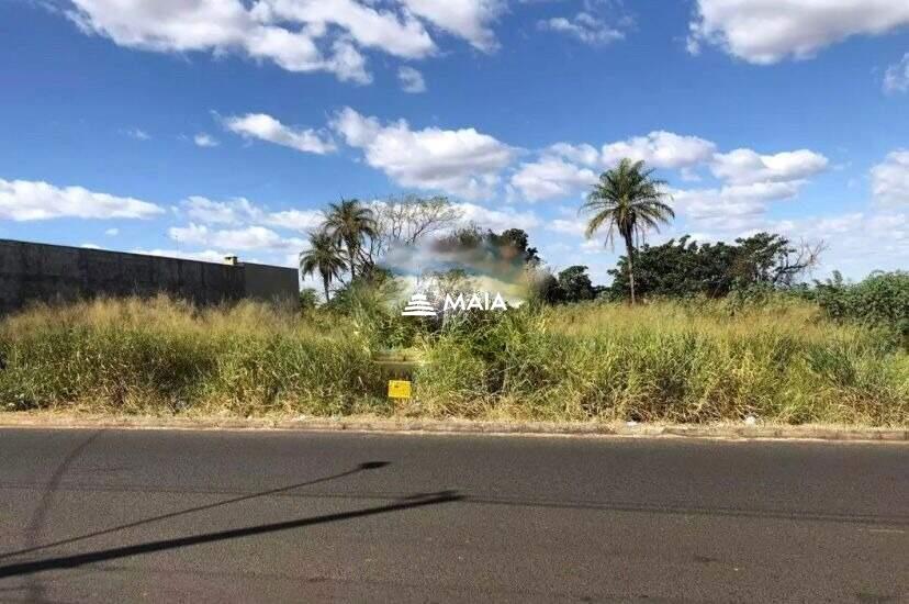 Terreno/Área à venda no Manoel Mendes: 