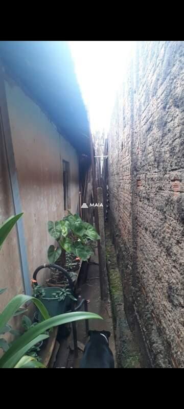 Terreno/Área à venda no Santa Maria: 