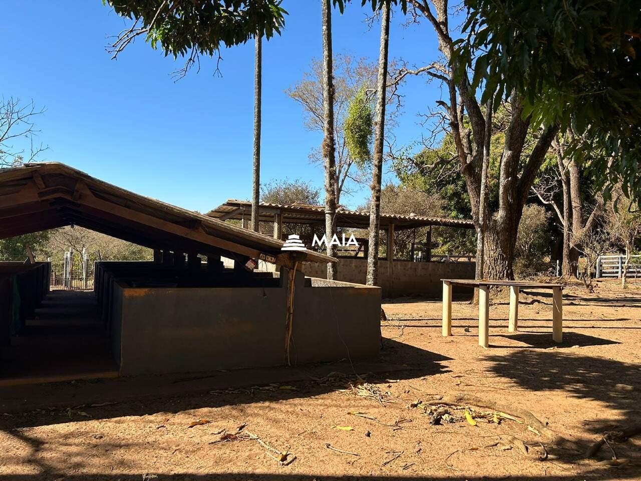 Terreno/Área à venda no Área Rural de Uberaba: 