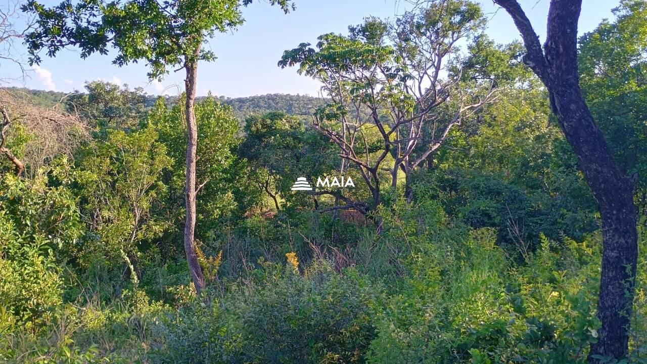 Terreno/Área à venda no Santa Rosa: 