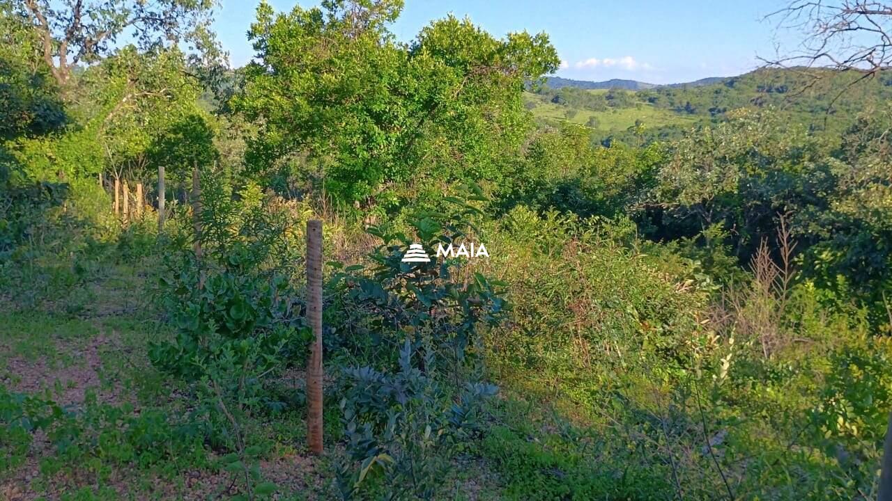 Terreno/Área à venda no Santa Rosa: 