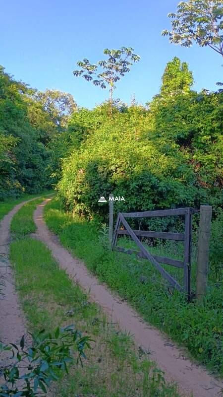 Terreno/Área à venda no Santa Rosa: 