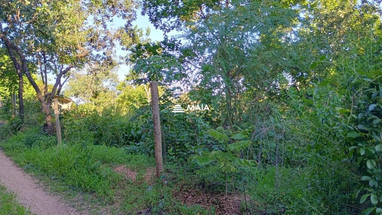 Terreno/Área à venda no Santa Rosa: 