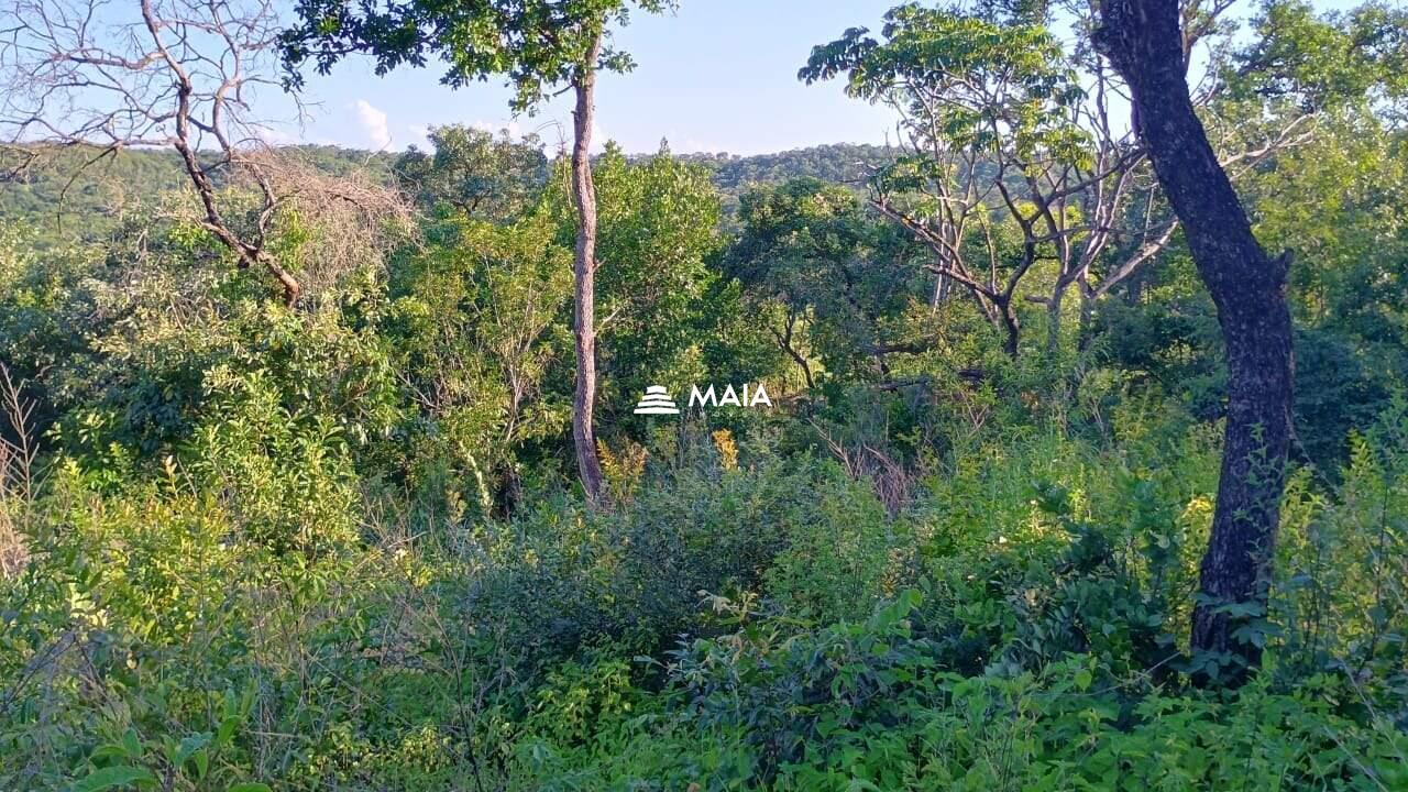 Terreno/Área à venda no Santa Rosa: 