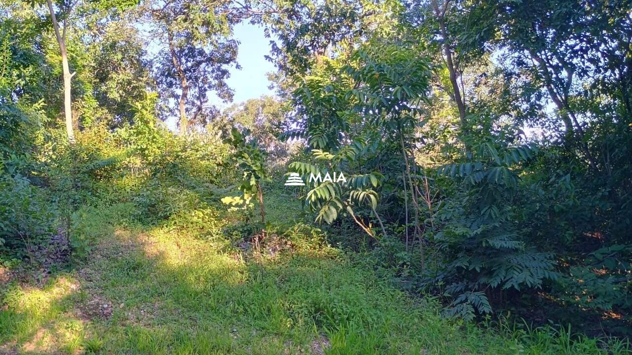 Terreno/Área à venda no Santa Rosa: 