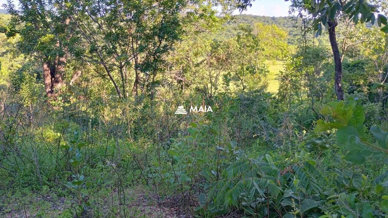 Terreno/Área à venda no Santa Rosa: 