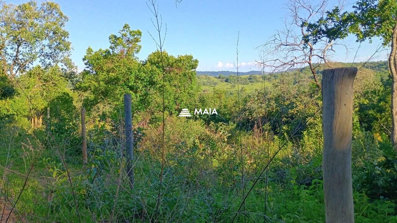 Terreno/Área à venda no Santa Rosa: 