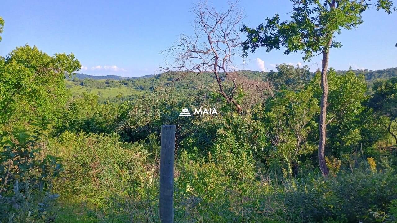 Terreno/Área à venda no Santa Rosa: 
