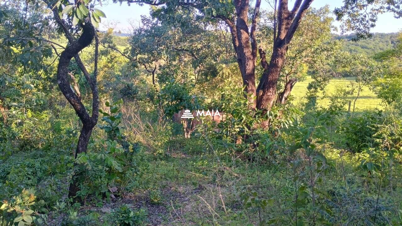 Terreno/Área à venda no Santa Rosa: 