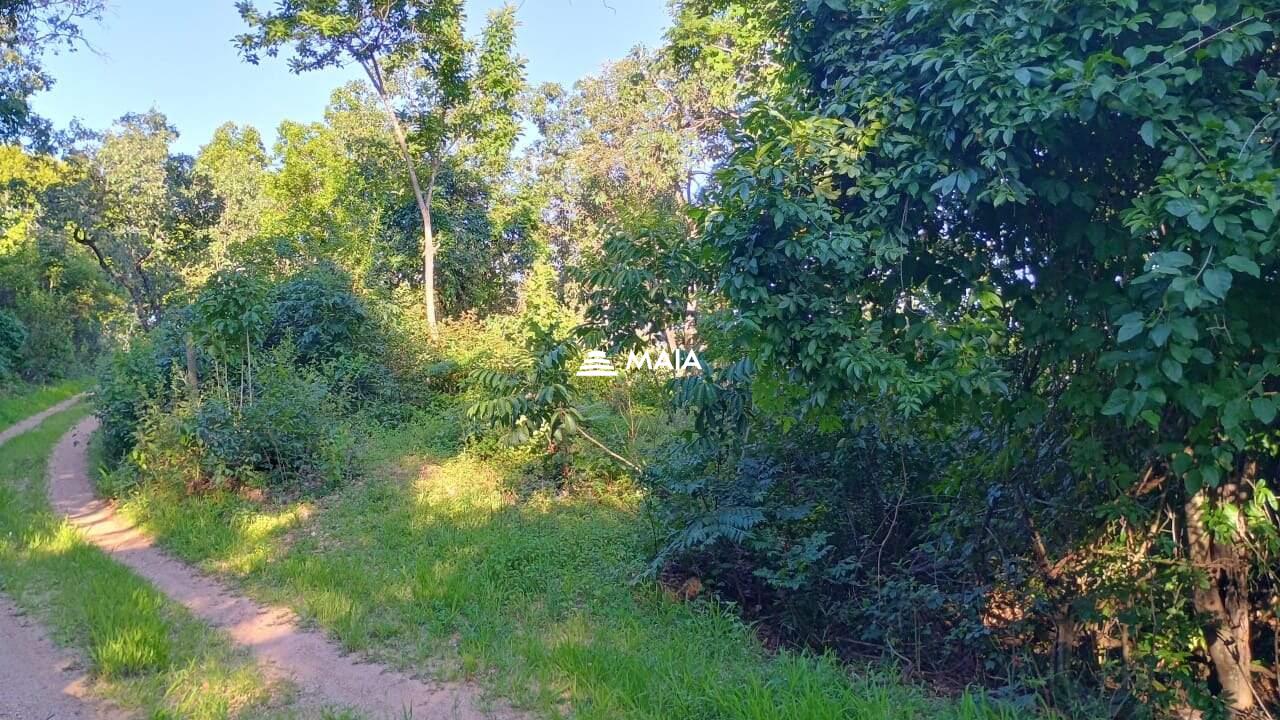 Terreno/Área à venda no Santa Rosa: 