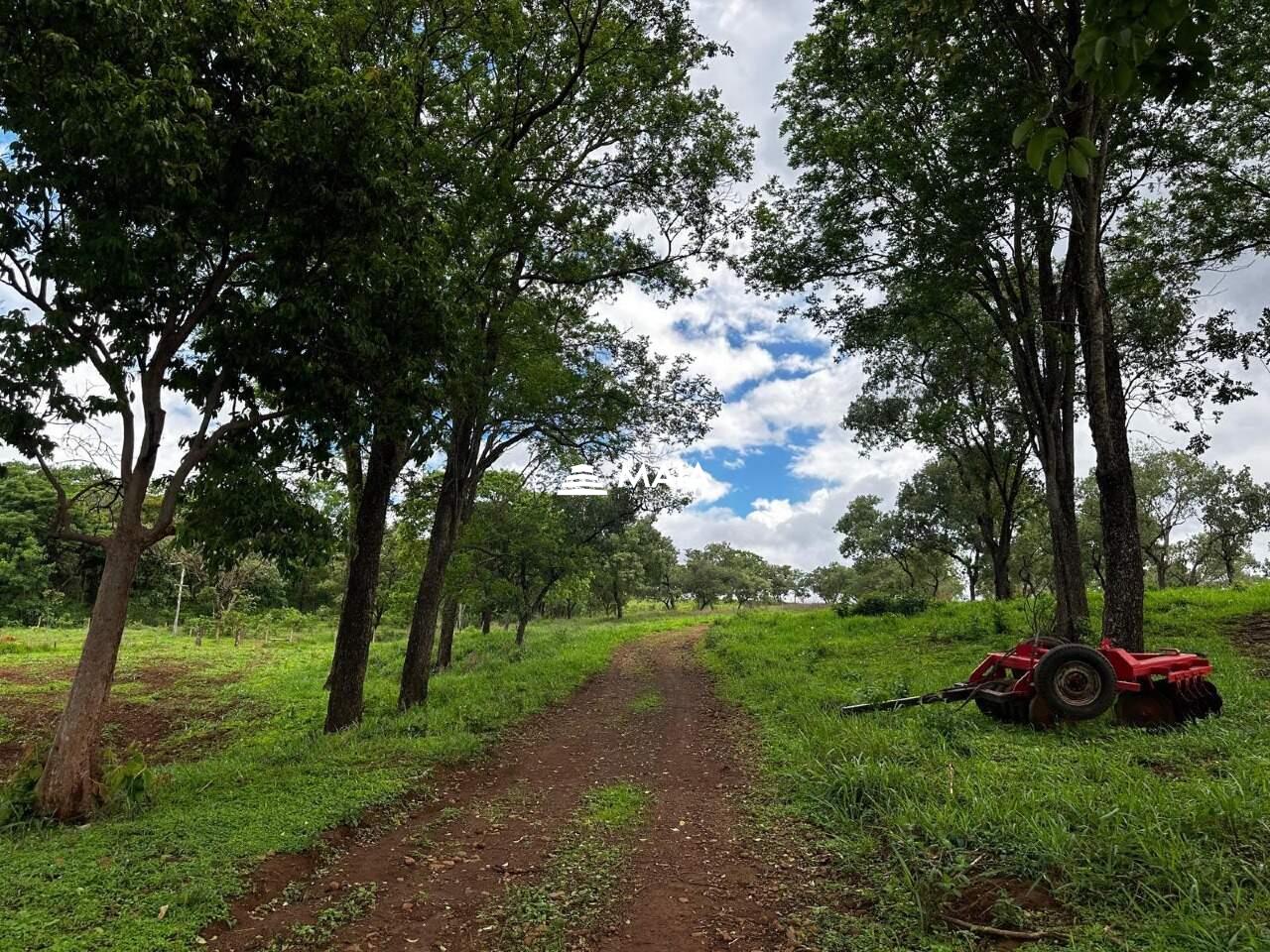 Terreno/Área à venda no Amoroso Costa: 