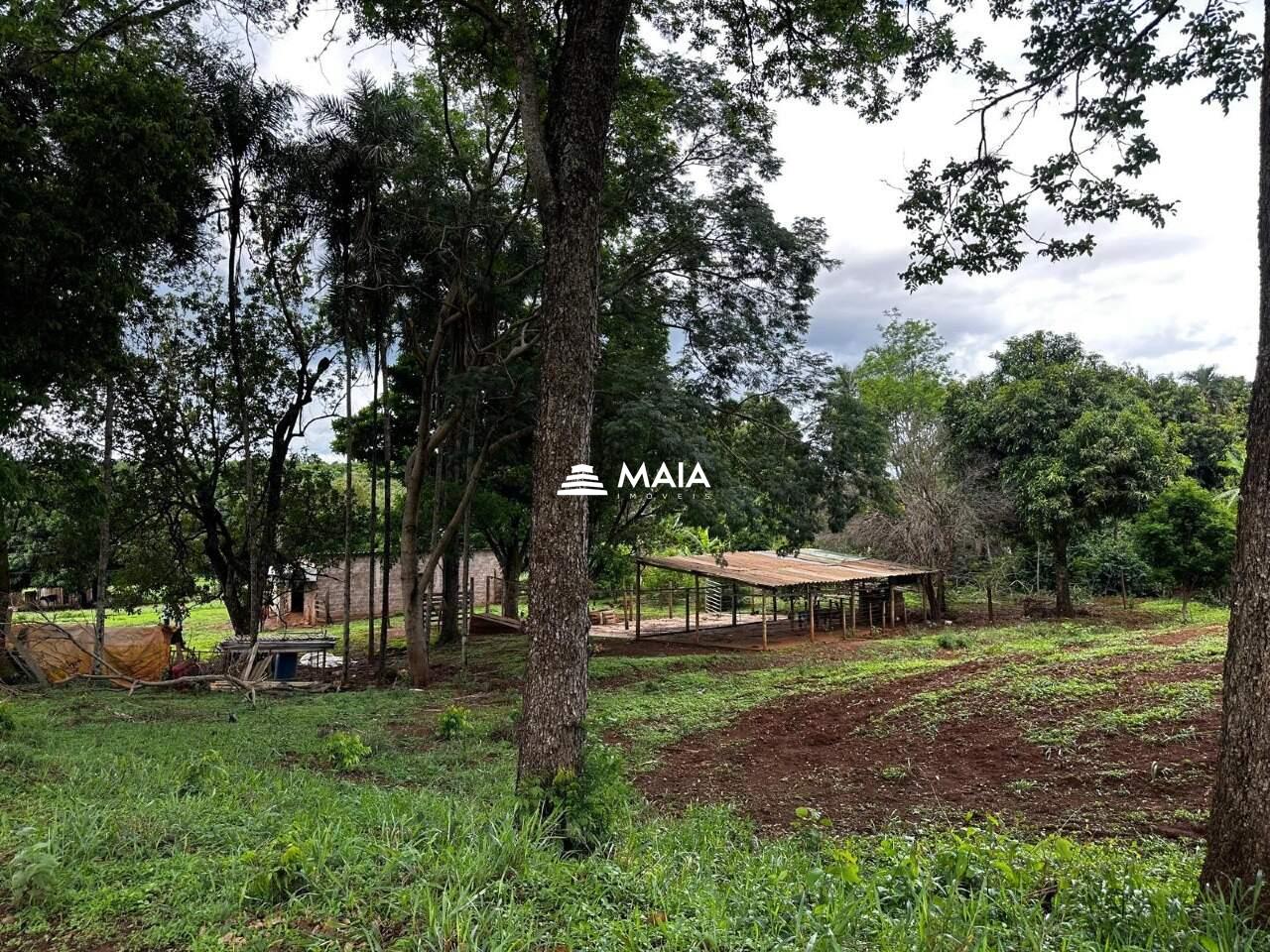 Terreno/Área à venda no Amoroso Costa: 