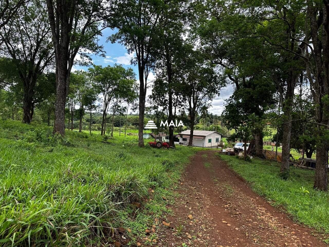 Terreno/Área à venda no Amoroso Costa: 