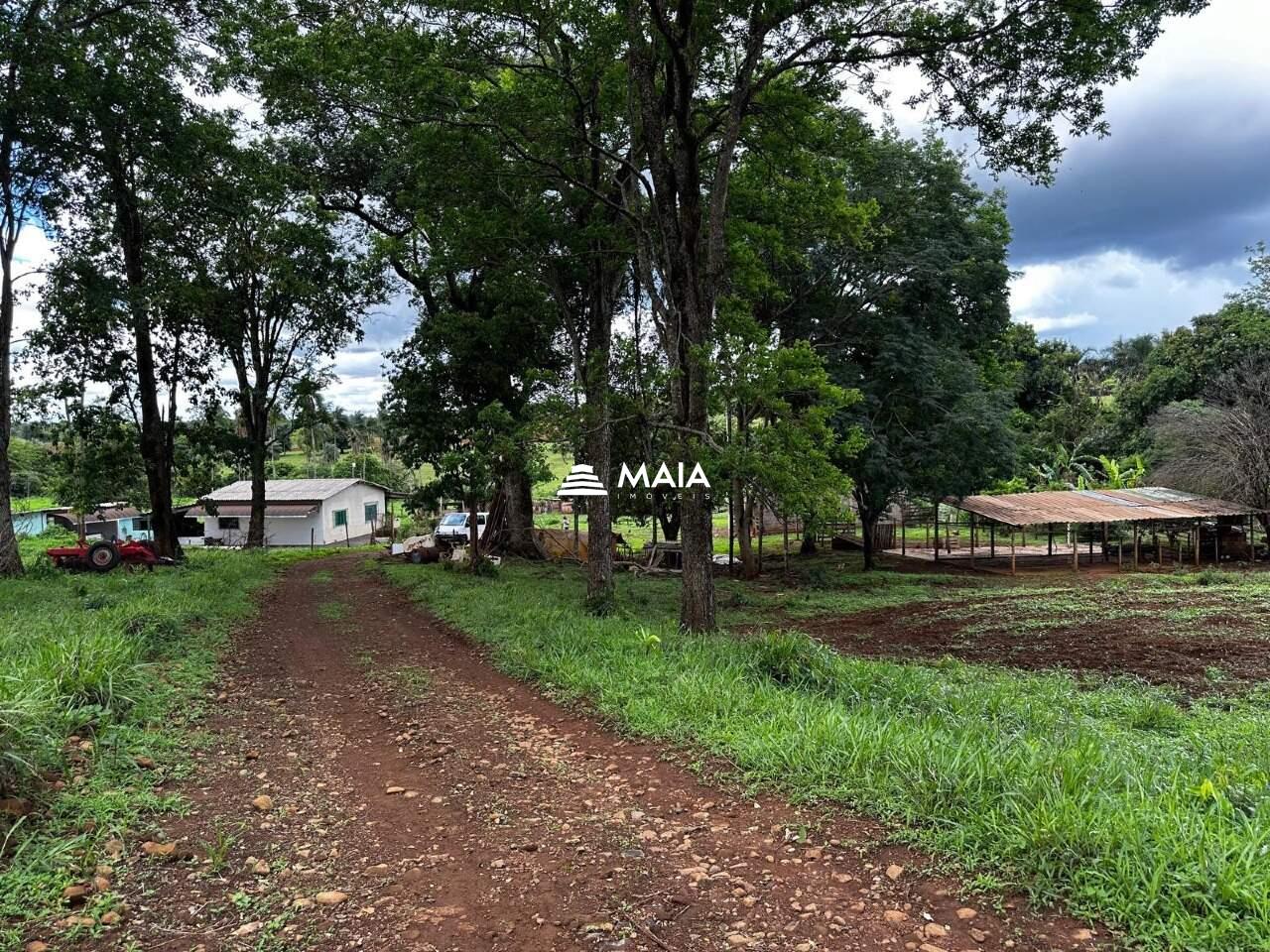 Terreno/Área à venda no Amoroso Costa: 