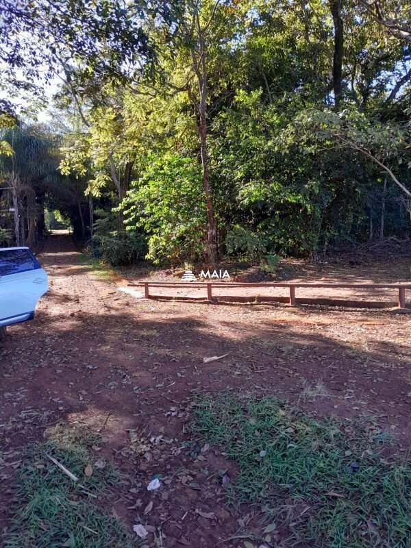 Terreno/Área à venda no Poncianos: 