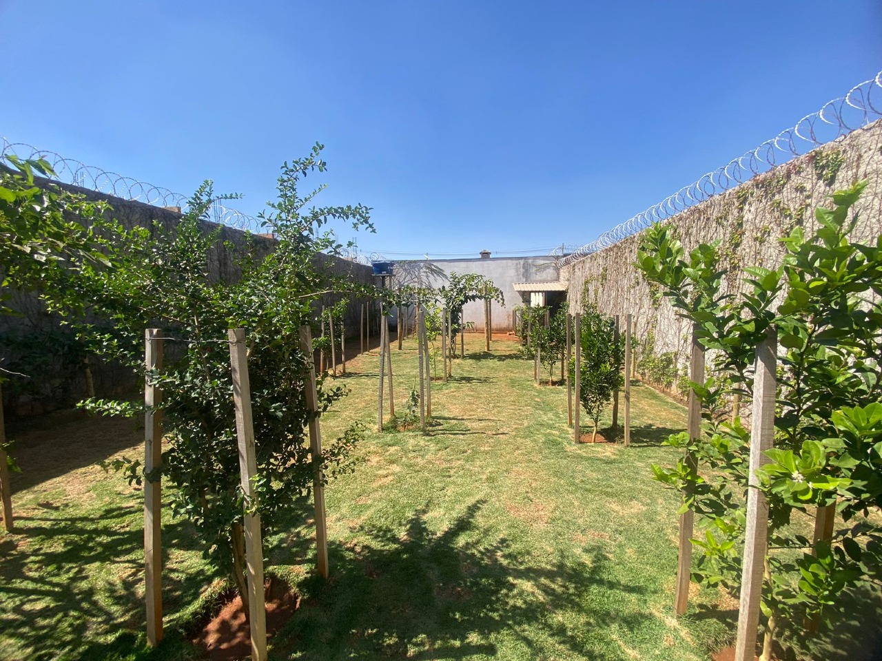 Casa à venda no Recreio dos Bandeirantes: 