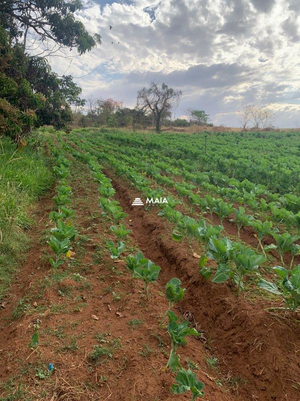Rancho/ Chácara/ Rural à venda no Alfredo Freire : 