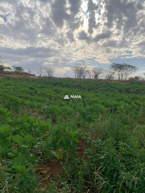 Rancho/ Chácara/ Rural à venda no Alfredo Freire : 