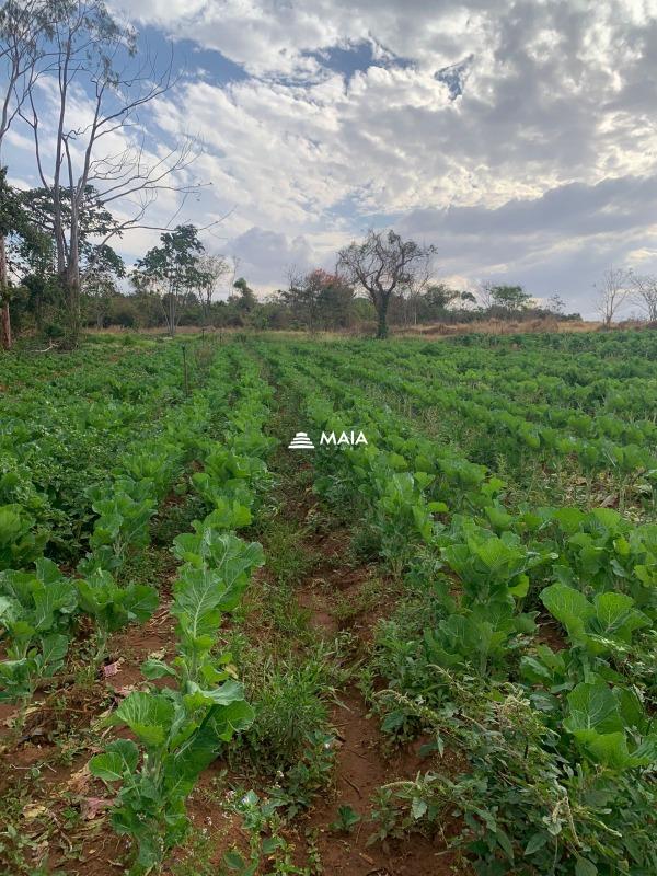 Rancho/ Chácara/ Rural à venda no Alfredo Freire : 