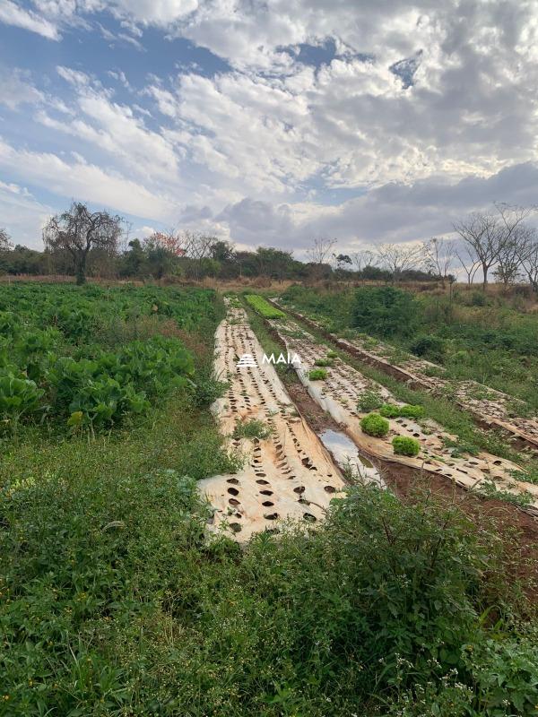 Rancho/ Chácara/ Rural à venda no Alfredo Freire : 