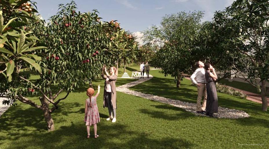 Terreno em Condomínio à venda no Mercês: 