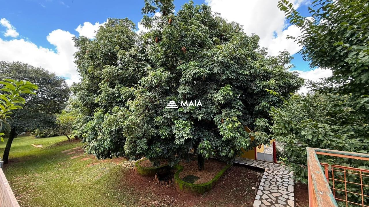 Terreno/Área à venda no Recanto das Flores: 