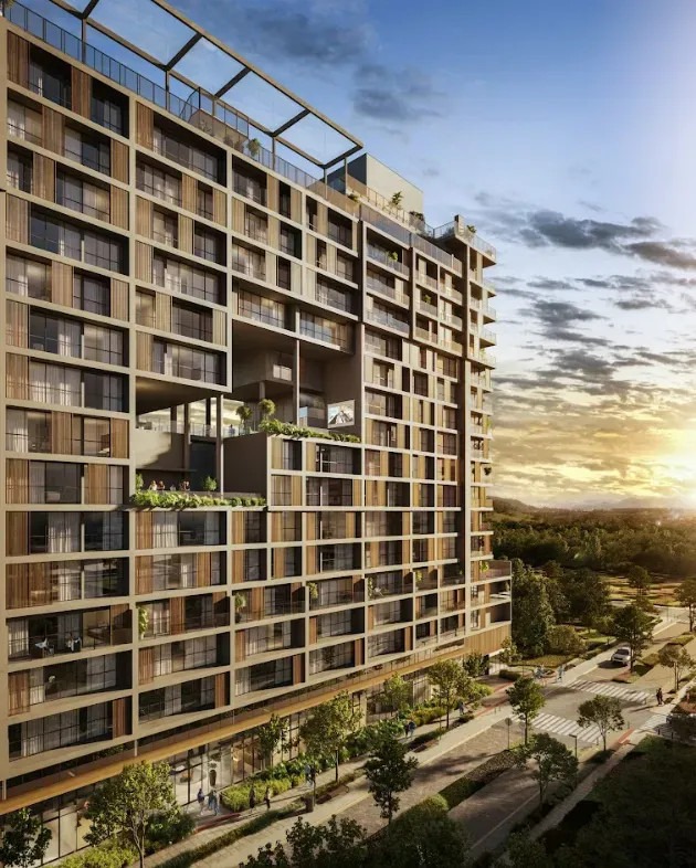 Lançamento - Imagem 1