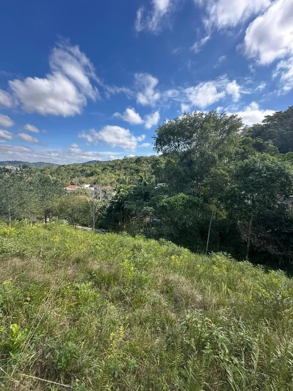 Lote de terreno - Imagem 6