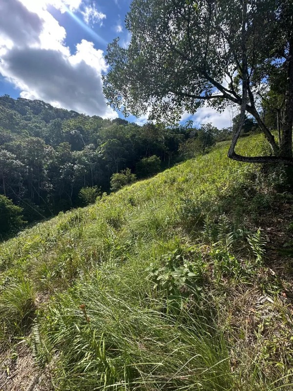 Lote de terreno - Imagem 7