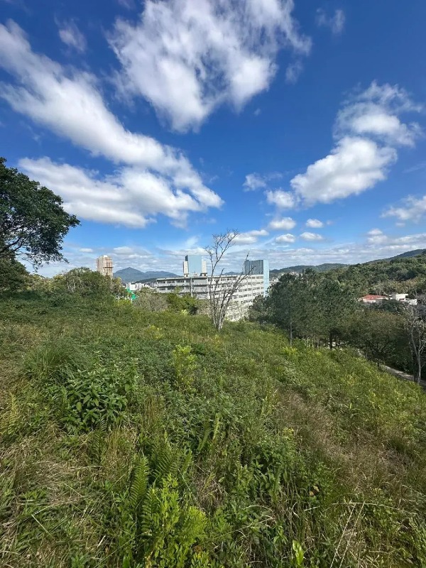 Lote de terreno - Imagem 4