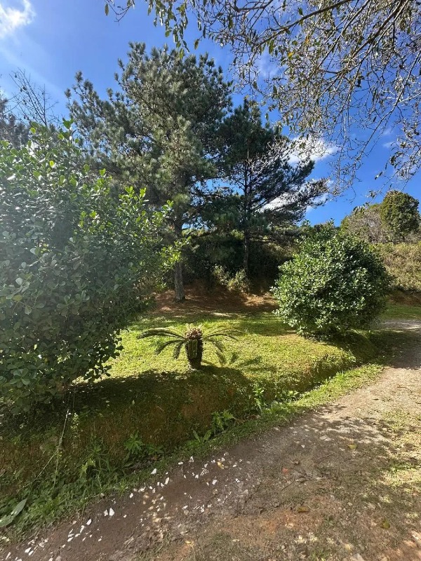 Lote de terreno - Imagem 5