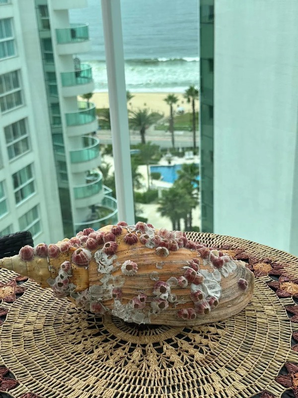 Apartamento - Imagem 3