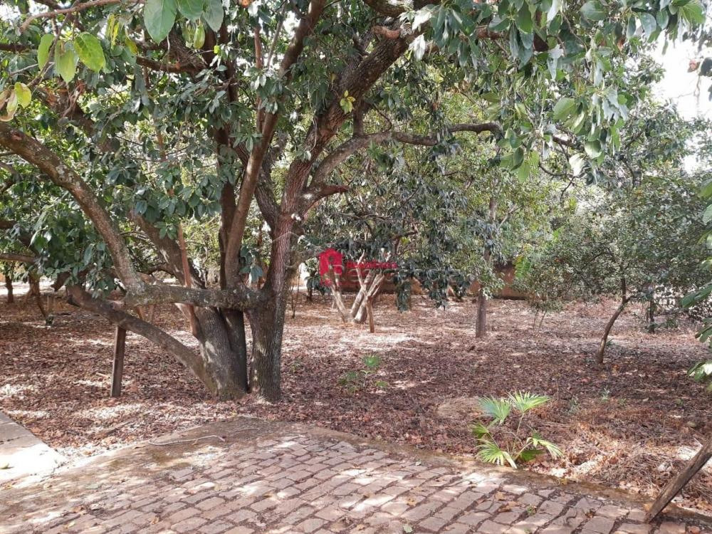 Terreno à venda no Jardim São Domingos (Chácaras São Domingos): 