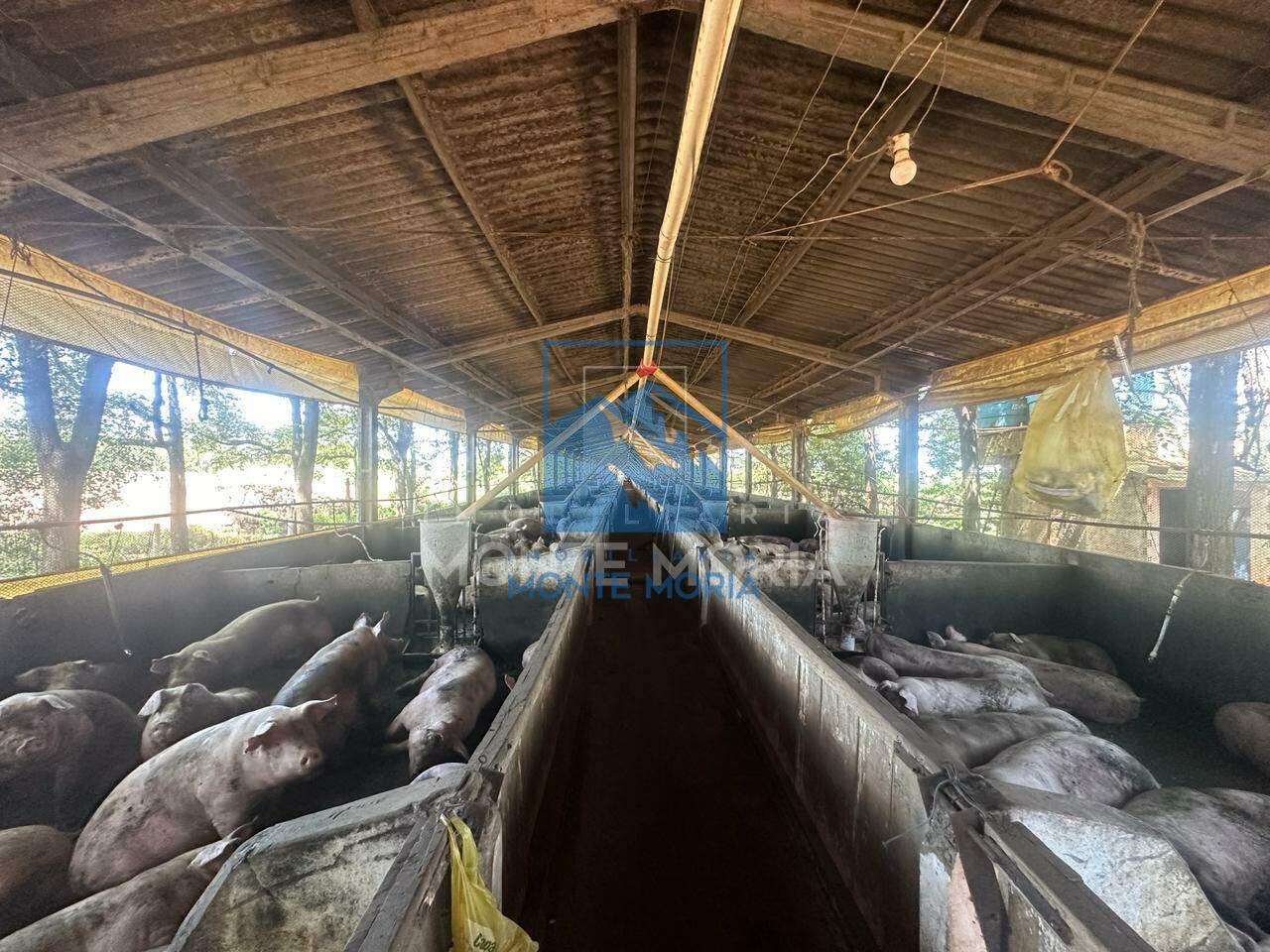 Chácara à venda no LINHA BANDEIRANTES: 