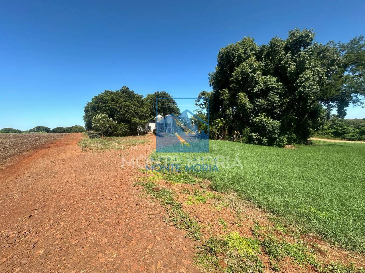 Chácara à venda no LINHA BANDEIRANTES: 