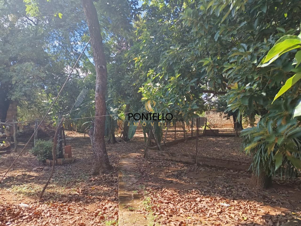 Casa, 4 quartos, 207 m² - Foto 21