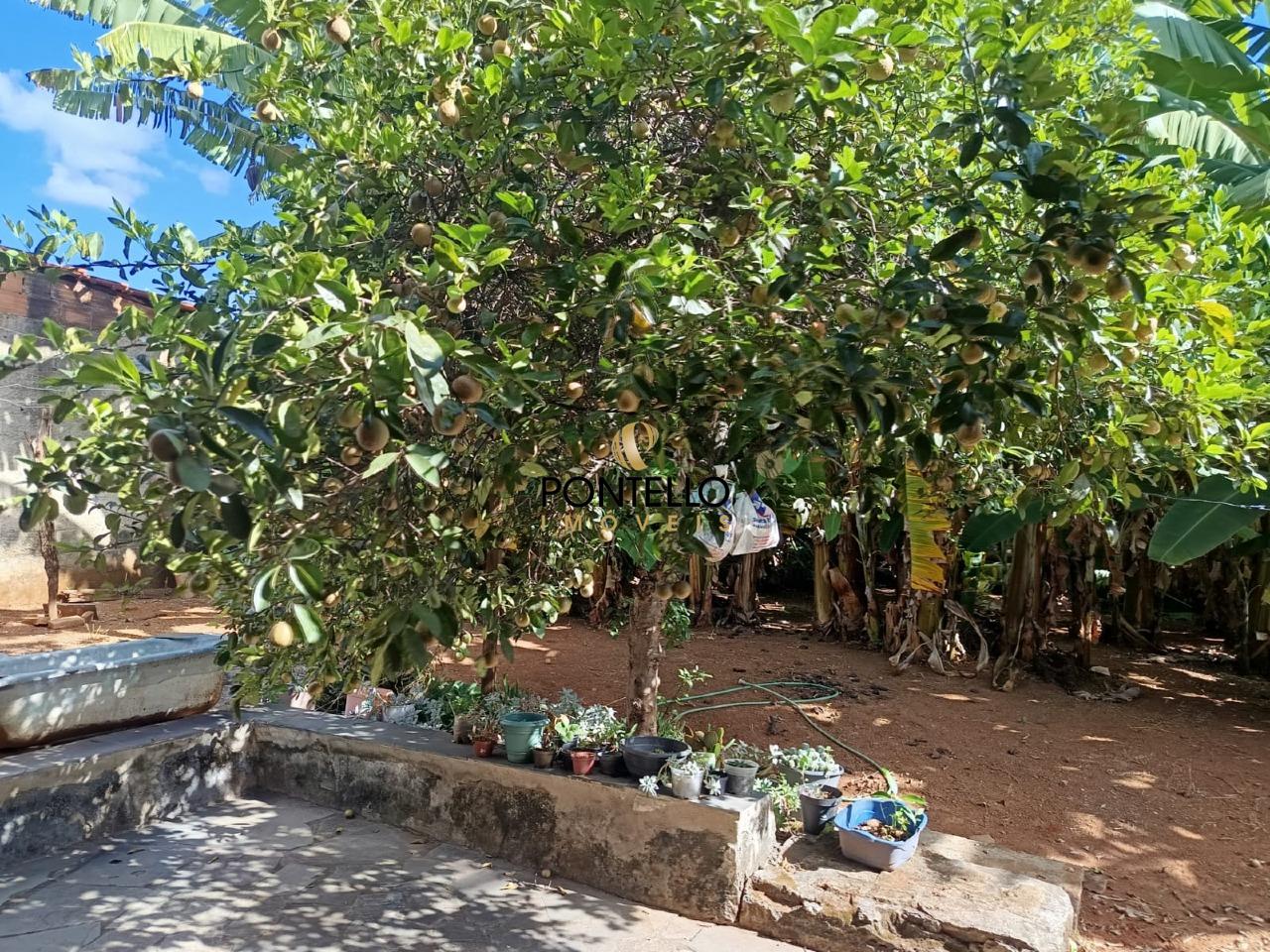 Casa, 4 quartos, 207 m² - Foto 25